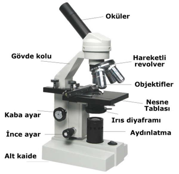 Mikroskop Yapısının Tanıtılması